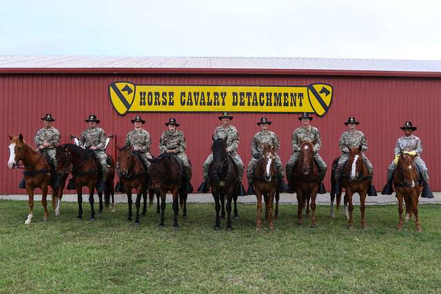 Iconic Cavalry Units in U.S. History: A Legacy of Bravery and Innovation