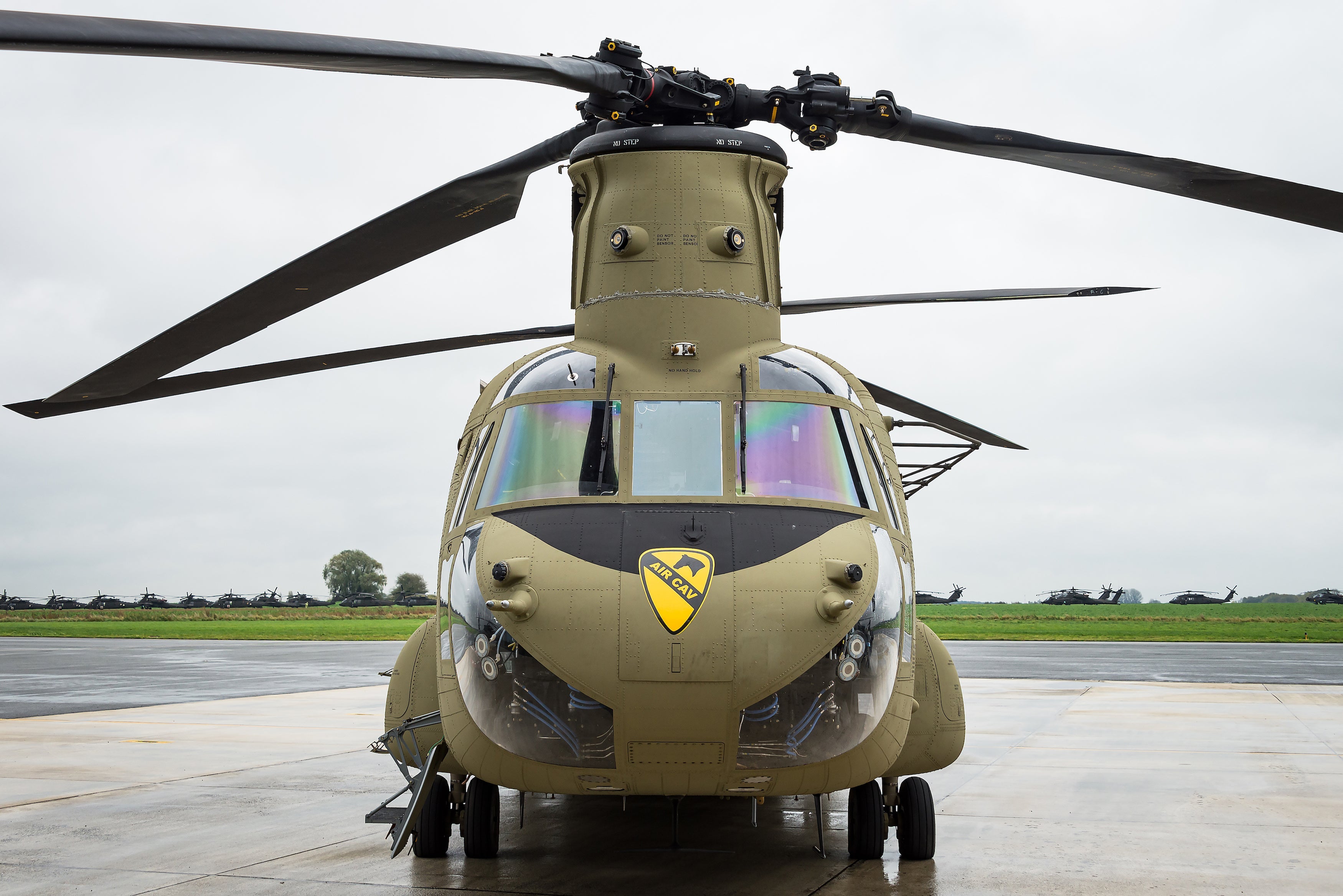 The Evolution and Significance of Cavalry in Modern Military Operations