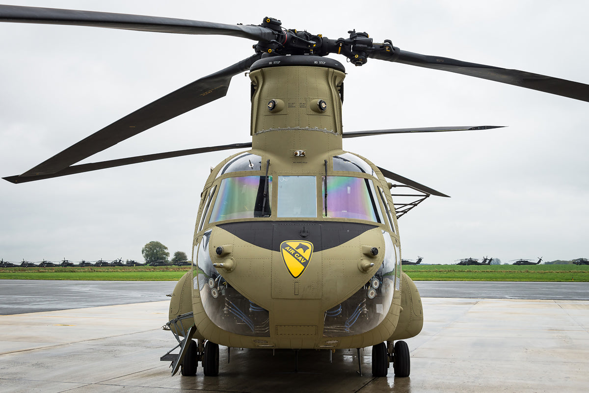 Iconic Cavalry Units in U.S. History: A Legacy of Bravery and Innovation