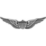 Micro Aviator Wings Silver Oxide