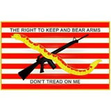 Don't Tread On Me Pin