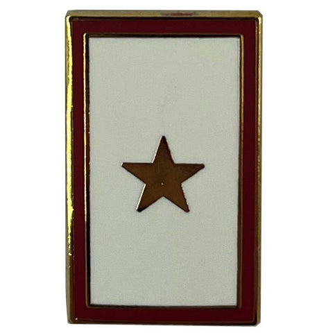 Gold Star Pin