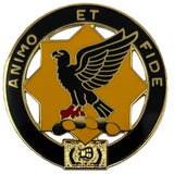 1st Cavalry Regiment DUI "AMINO ET FIDE"