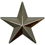 BG - Brigadier General (O-7) Rank Insignia