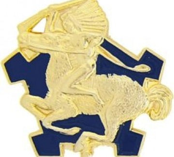 9th Cavalry Regiment Pin