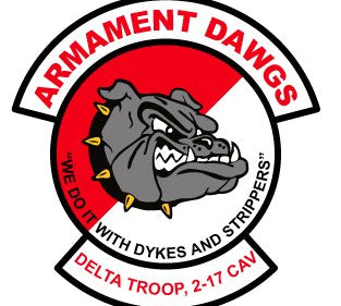 D Trp 2-17 Cav Armament Dawgs