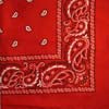 Red Cavalry Bandana